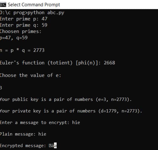 binary rsa decryption binary to text python